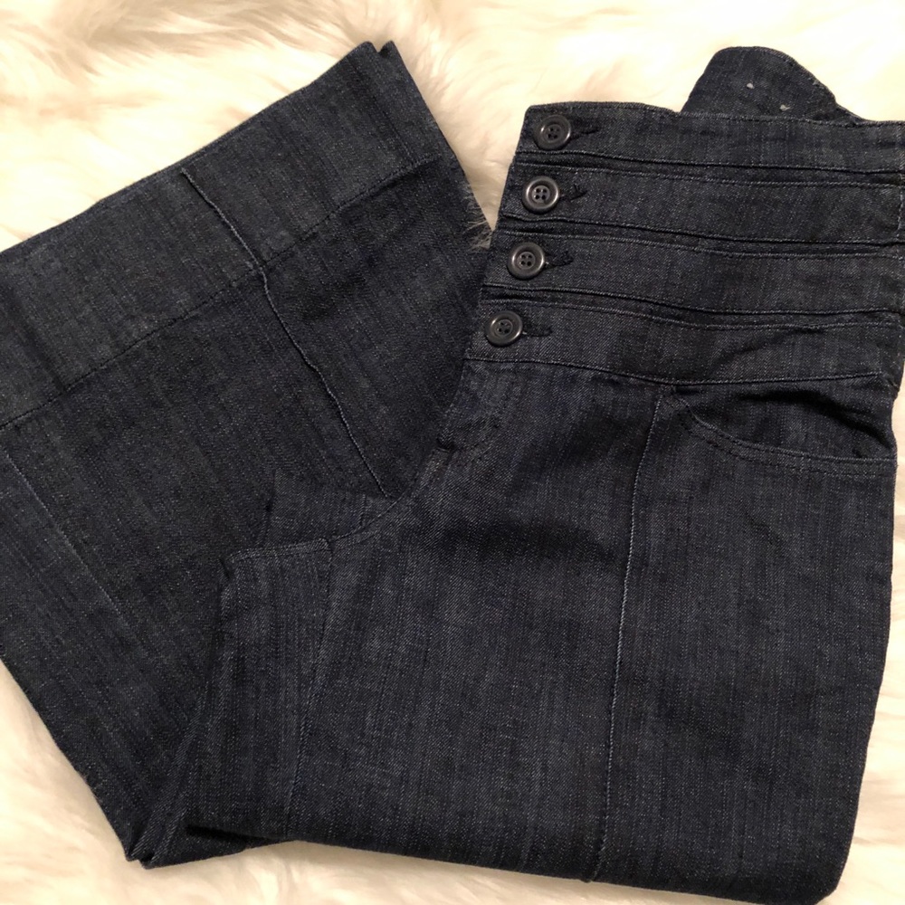 Venezia Lane Bryant High Waist Pintuck Denim Pants